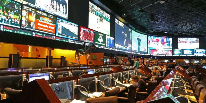 Thông tin tổng quan về sảnh cá độ Crown Sports